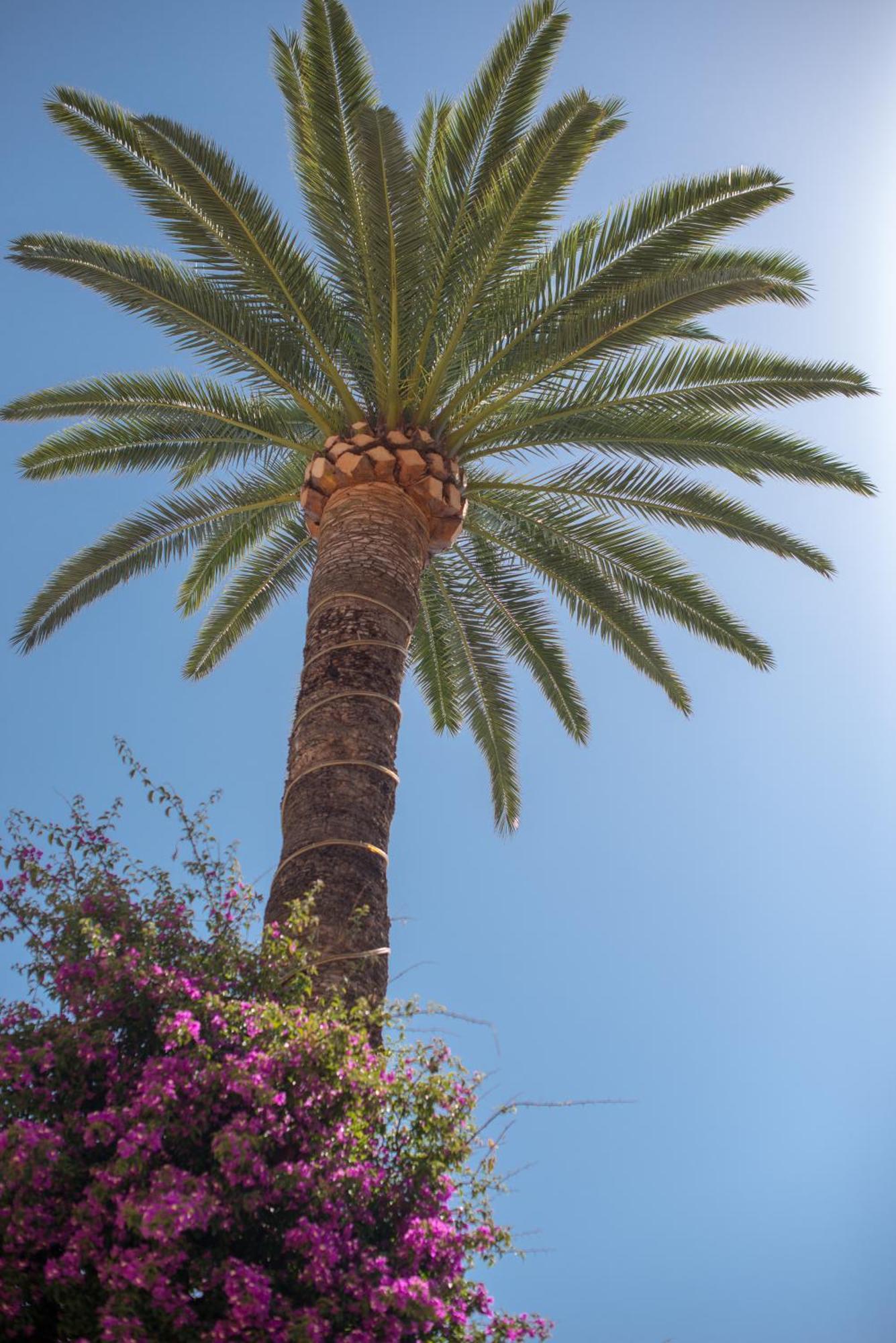 Hotel Et Appartements Reine D'Azur Roquebrune-Cap-Martin Exteriér fotografie